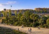 Innovación urbana: El método japonés que acelera el crecimiento de bosques para combatir el calor en las ciudades
