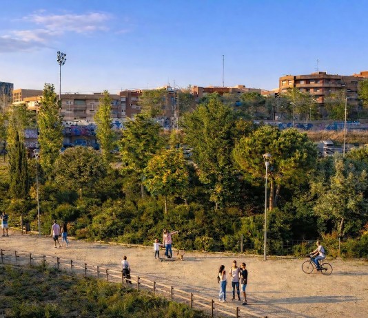 Innovación urbana: El método japonés que acelera el crecimiento de bosques para combatir el calor en las ciudades